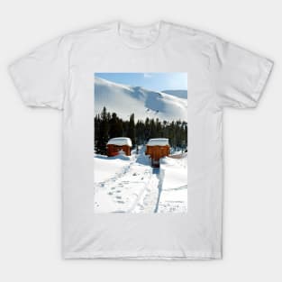 Canadian Rocky Mountains Icefields Parkway Canada T-Shirt